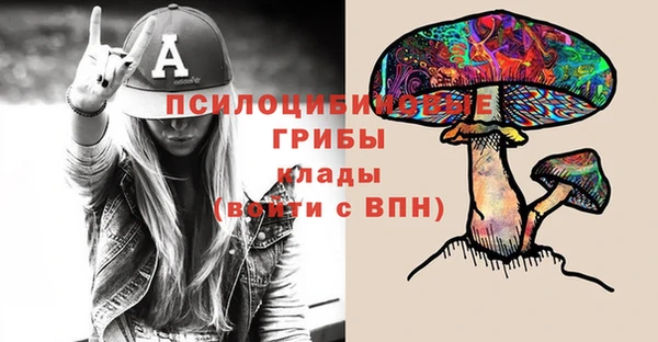 меф Белокуриха