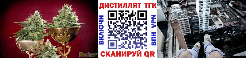ТГК Wax  сколько стоит  кракен вход  Севск 
